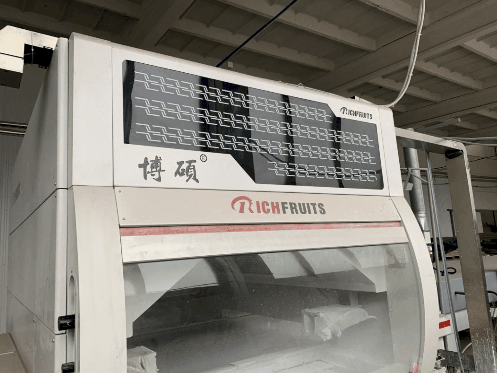 Vista frontal de la máquina GIARDINA RICHFRUITS / NEOMEC / KREMLIN Painting Line